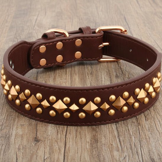 Collier chien | Studs - Jamais sans mon chien