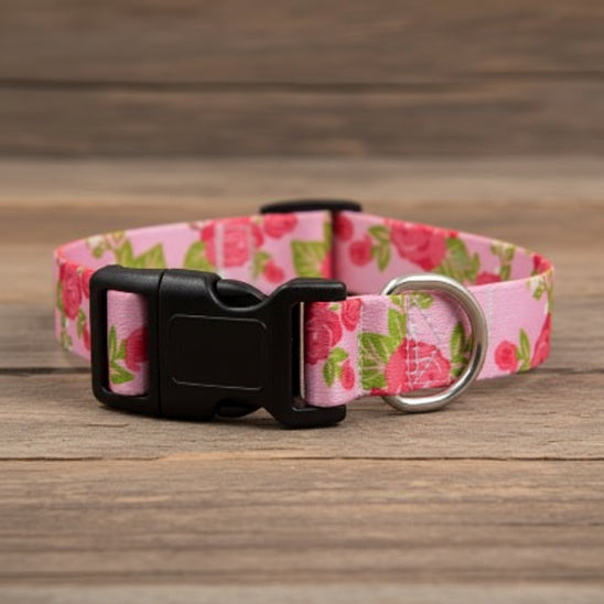 Collier Chien | Confort Sécurisé - 12