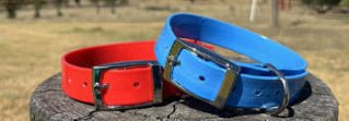 Collier chien | Simplicité Biothane - Jamais sans mon chien
