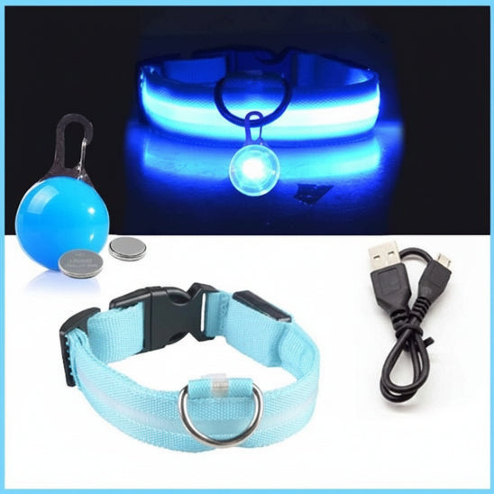 Collier lumineux pour chien | Saturne - 9