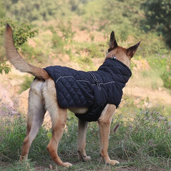 Manteau pour Chien | Le Matelassé - Jamais sans mon chien