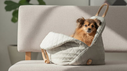 BLOG-Sac de transport pour chien | Nid Douillet - Jamais sans mon chien