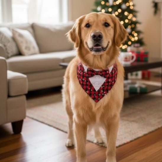 Bandana Chien | Ladies & Gentlemen - Jamais sans mon chien