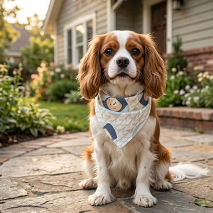 Bandana pour Chien | Le Bandit - Jamais sans mon chien