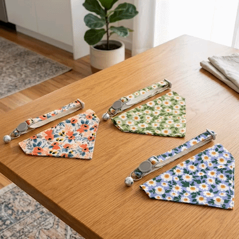 Bandana pour Chien | Lil' Rooky - Jamais sans mon chien