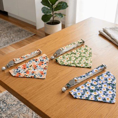 Bandana pour Chien | Lil' Rooky - Jamais sans mon chien