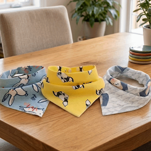 Bandana pour Chien | Le Bandit - Jamais sans mon chien