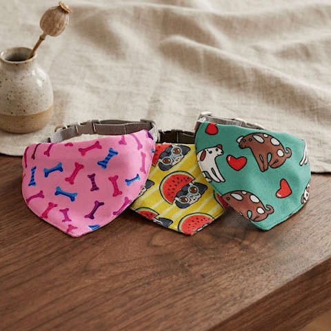Bandana pour Chien | Charlotte