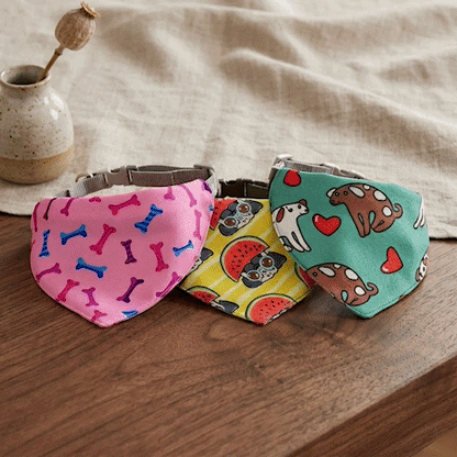 Bandana pour Chien | Charlotte