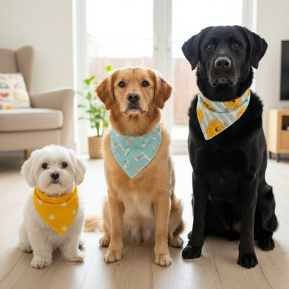 Bandana pour Chien | Le Petit Joey - Jamais sans mon chien