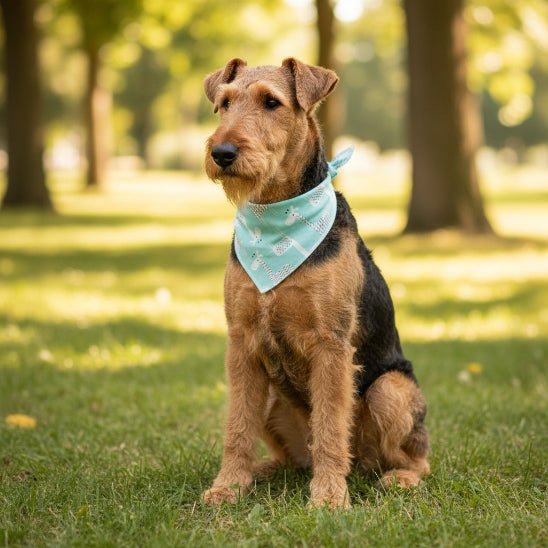 Bandana pour Chien | Le Petit Joey - Jamais sans mon chien