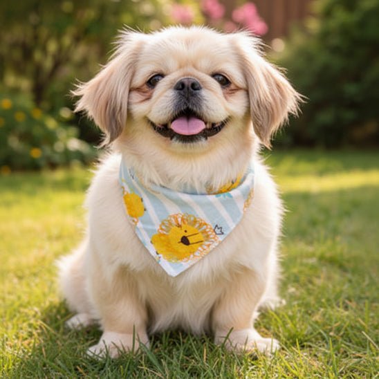Bandana pour Chien | Le Petit Joey - Jamais sans mon chien