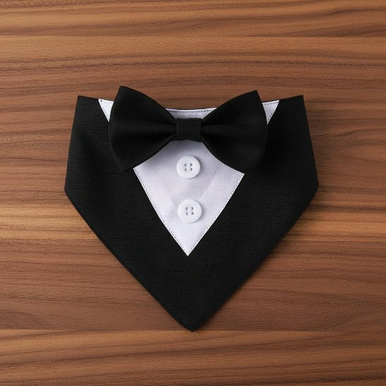 Bandana Chien | Ladies & Gentlemen - Jamais sans mon chien