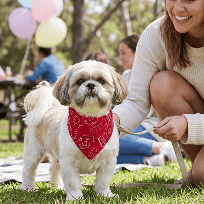 Bandana Chien | John Wayne