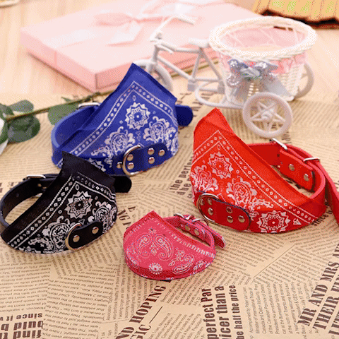 Bandana chien | ByeBye Mon Cowboy - Jamais sans mon chien