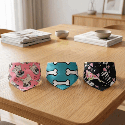 Bandana pour Chien_Charlie