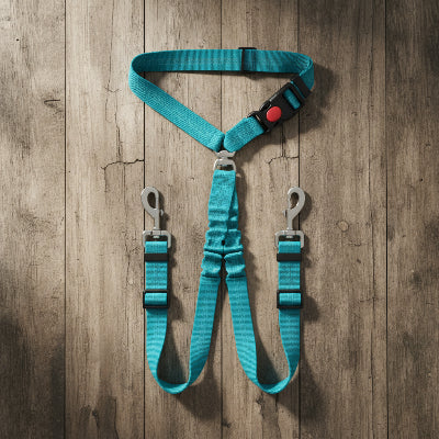 Ceinture de sécurité pour chien | Les Inséparables- couleur BLEU