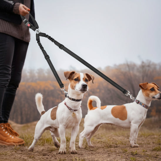 Ceinture de sécurité pour chien | Love Dogs-Double utilisation