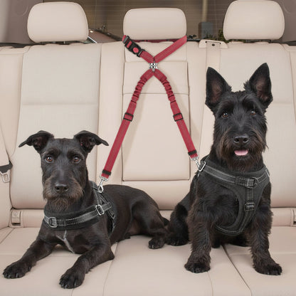 Ceinture de sécurité pour chien | Love Dogs- Deux terriers Ecossais