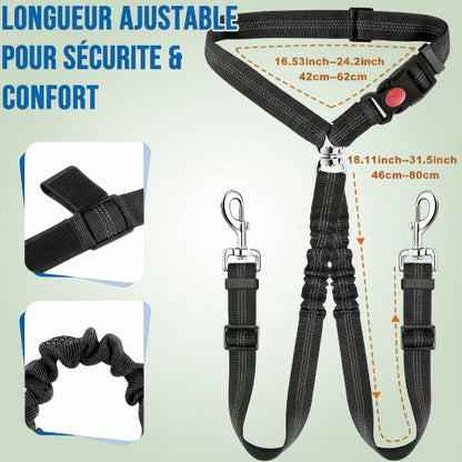 Ceinture de sécurité pour chien | Love Dogs-Dimensions