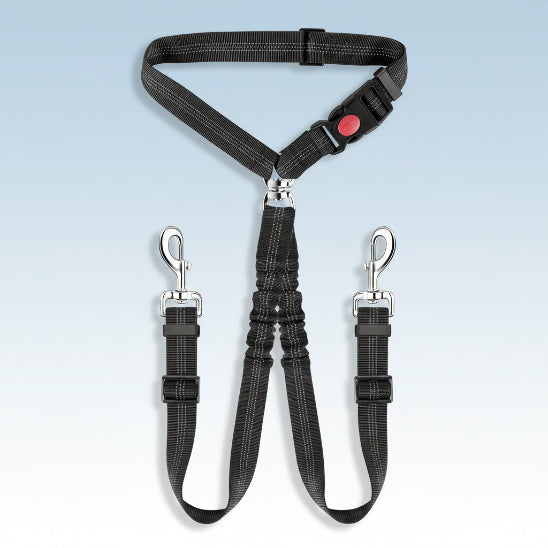 Ceinture de sécurité pour chien | Love Dogs- couleur NOIR