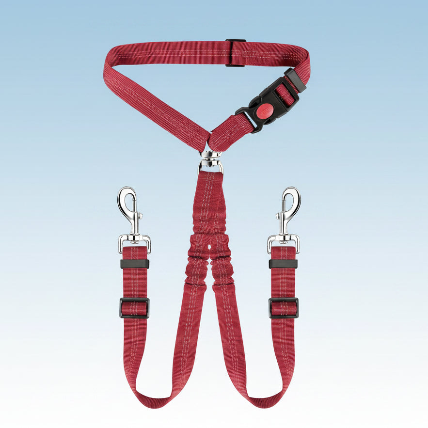 Ceinture de sécurité pour chien | Love Dogs- couleur ROUGE