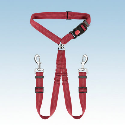 Ceinture de sécurité pour chien | Love Dogs- couleur ROUGE
