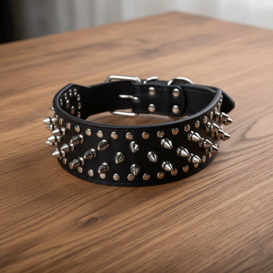 Collier Chien | Les Pointes au Cou - Jamais sans mon chien