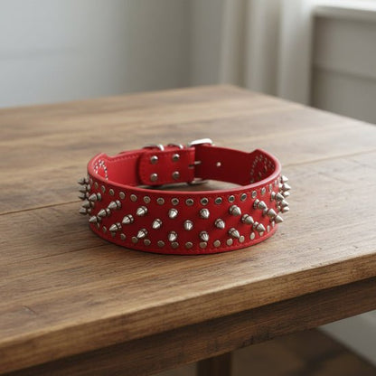 Collier Chien | Les Pointes au Cou - Jamais sans mon chien