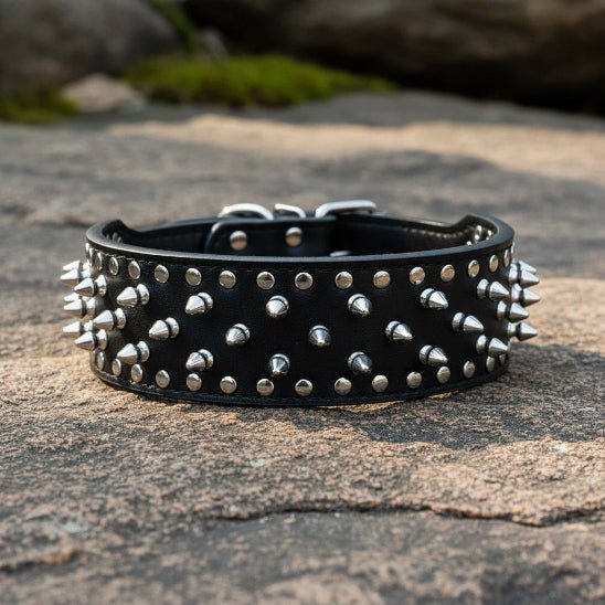 Collier Chien | Les Pointes au Cou - Jamais sans mon chien