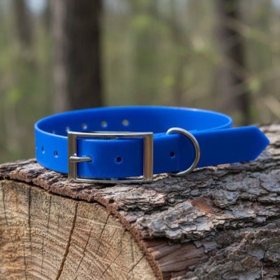 Collier chien | Simplicité Biothane - Jamais sans mon chien