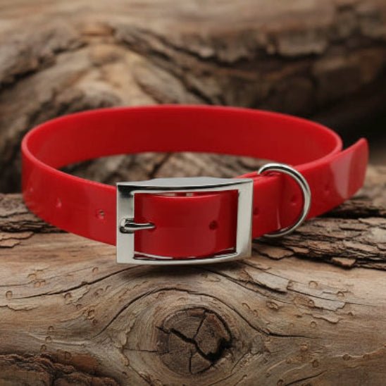 Collier chien | Simplicité Biothane - Jamais sans mon chien
