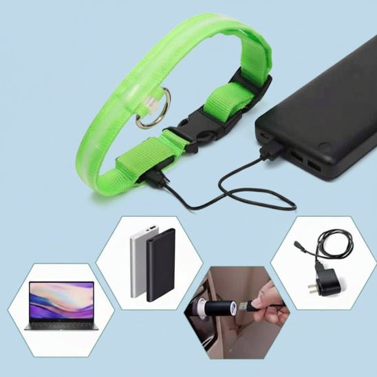 Collier lumineux pour chien | Saturne - Jamais sans mon chien
