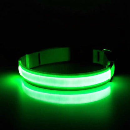 Collier lumineux pour chien | Saturne - Jamais sans mon chien