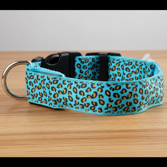 Collier lumineux pour Chien | Bright Night - Jamais sans mon chien