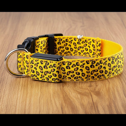 Collier lumineux pour Chien | Bright Night - Jamais sans mon chien