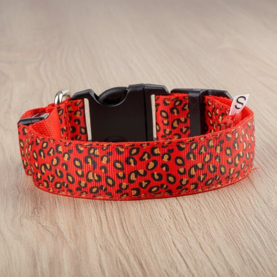 Collier lumineux pour Chien | Bright Night - Jamais sans mon chien