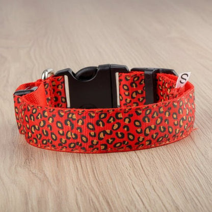 Collier lumineux pour Chien | Bright Night - Jamais sans mon chien