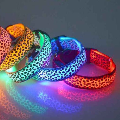 Collier lumineux pour Chien | Bright Night - Jamais sans mon chien
