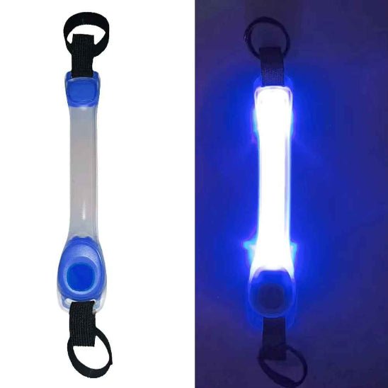 Collier Lumineux pour Chien | SafetyNight - Jamais sans mon chien