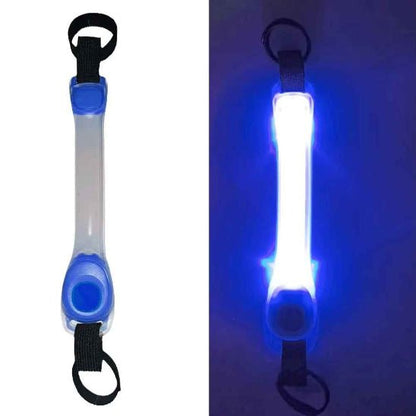 Collier Lumineux pour Chien | SafetyNight - Jamais sans mon chien
