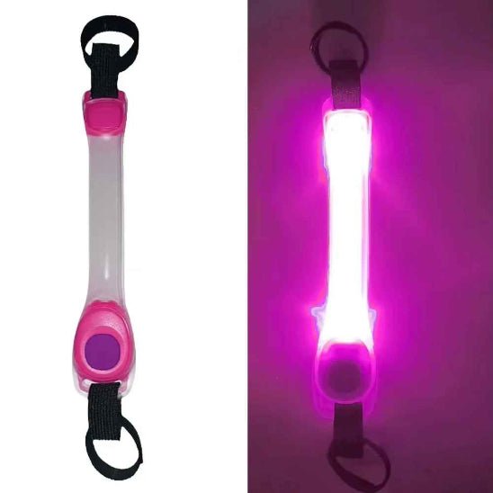 Collier Lumineux pour Chien | SafetyNight - Jamais sans mon chien