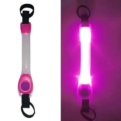 Collier Lumineux pour Chien | SafetyNight - Jamais sans mon chien