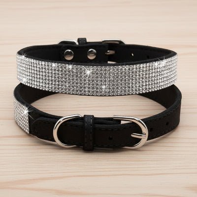 Collier chien | Le Bling Bling - Jamais sans mon chien