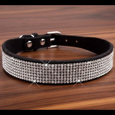 Collier chien | Le Bling Bling - Jamais sans mon chien