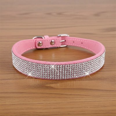 Collier chien | Le Bling Bling - Jamais sans mon chien