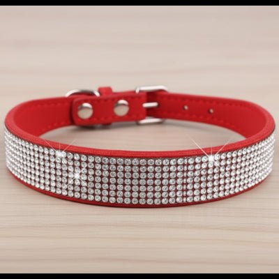 Collier chien | Le Bling Bling - Jamais sans mon chien