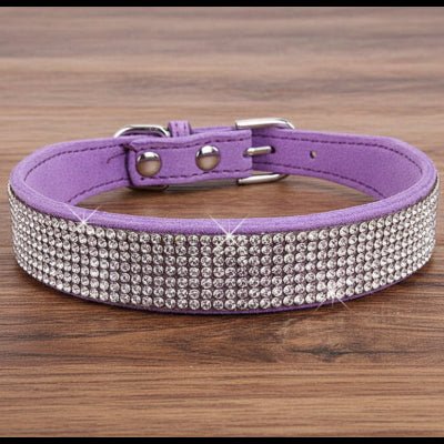 Collier chien | Le Bling Bling - Jamais sans mon chien