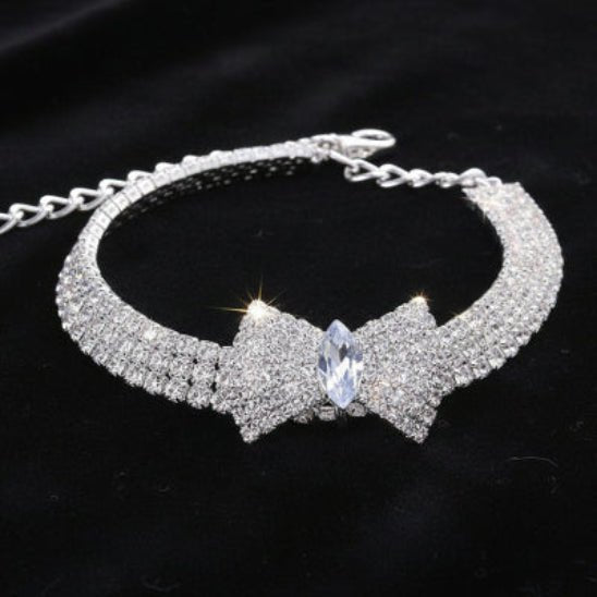 Collier chien | The Great Gatsby - Jamais sans mon chien