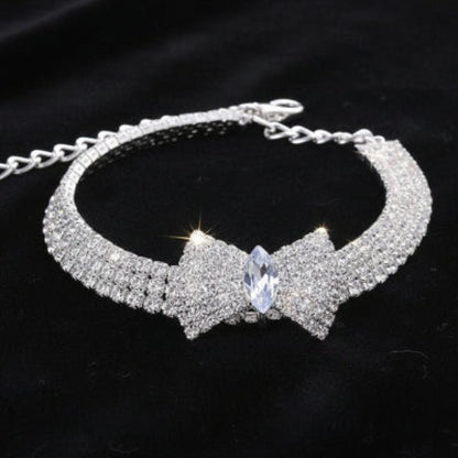 Collier chien | The Great Gatsby - Jamais sans mon chien
